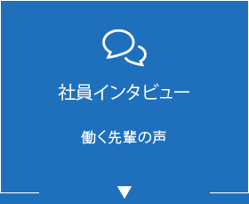 社員インタビュー 働く先輩の声